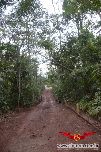afotorm